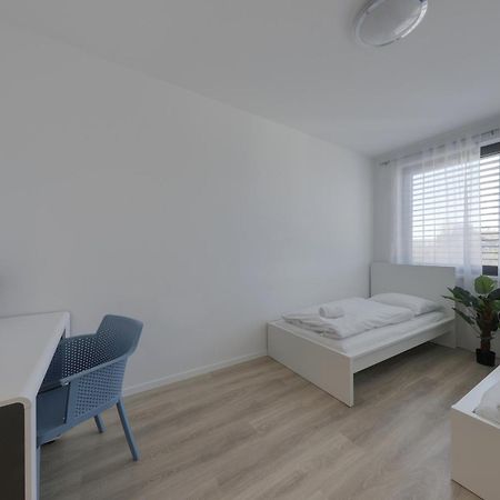 Bazova Apartment With Free Parking Bratislava Eksteriør bilde